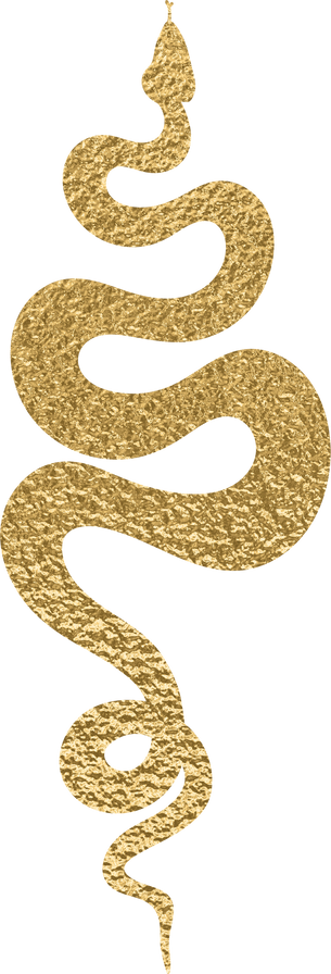 Gold Snake Illustration