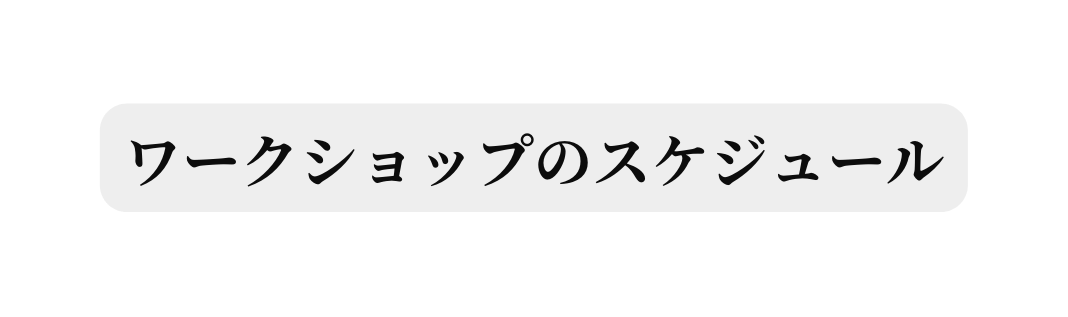 ワークショップのスケジュール