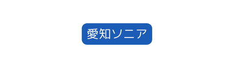 愛知ソニア