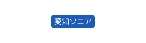 愛知ソニア