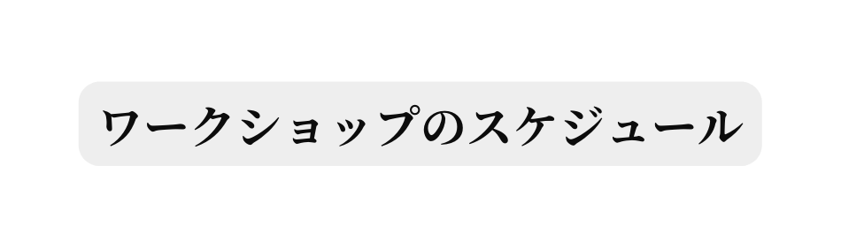 ワークショップのスケジュール